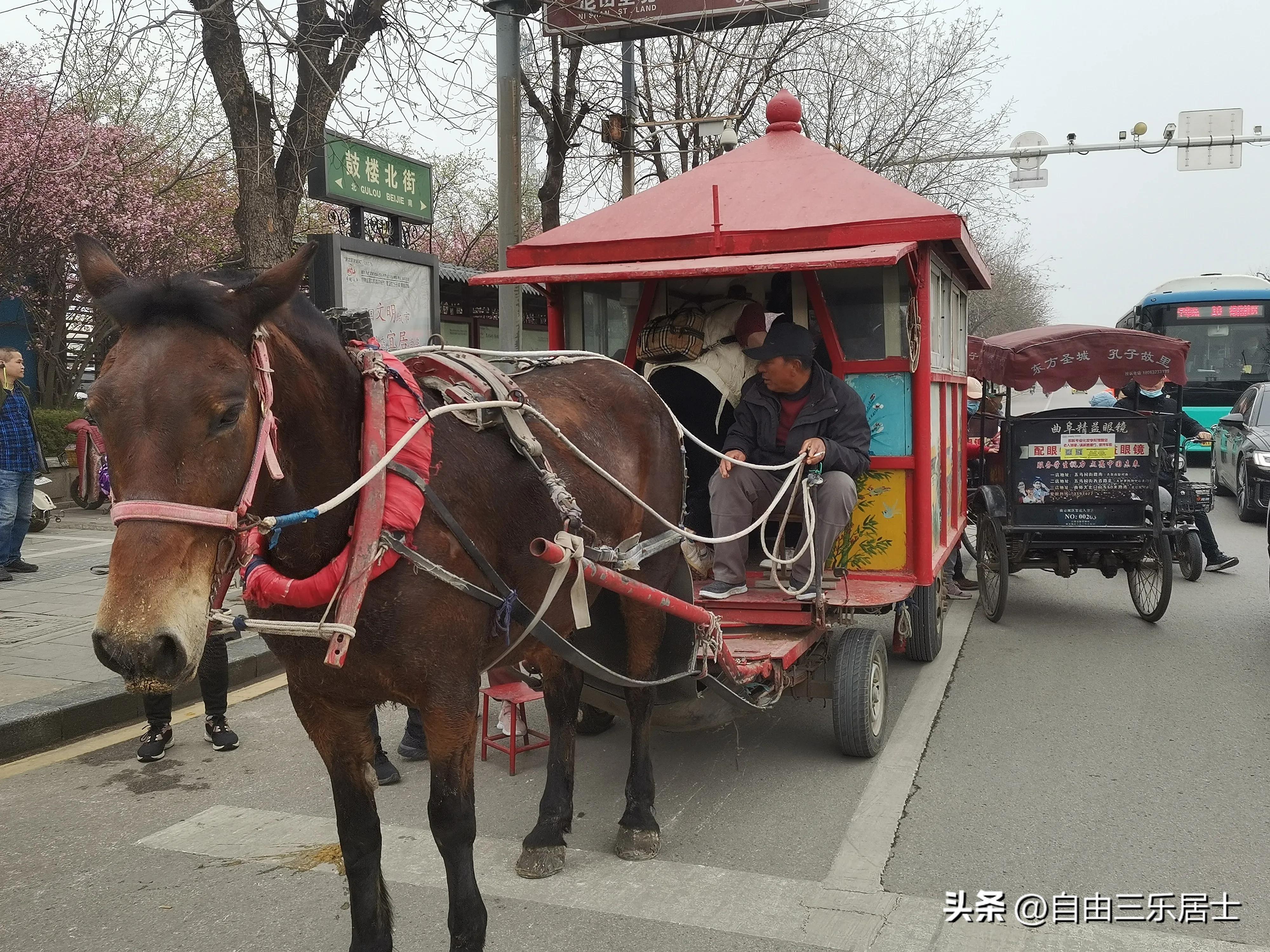 曲阜三孔游记全集,讲好山东故事三孔游记