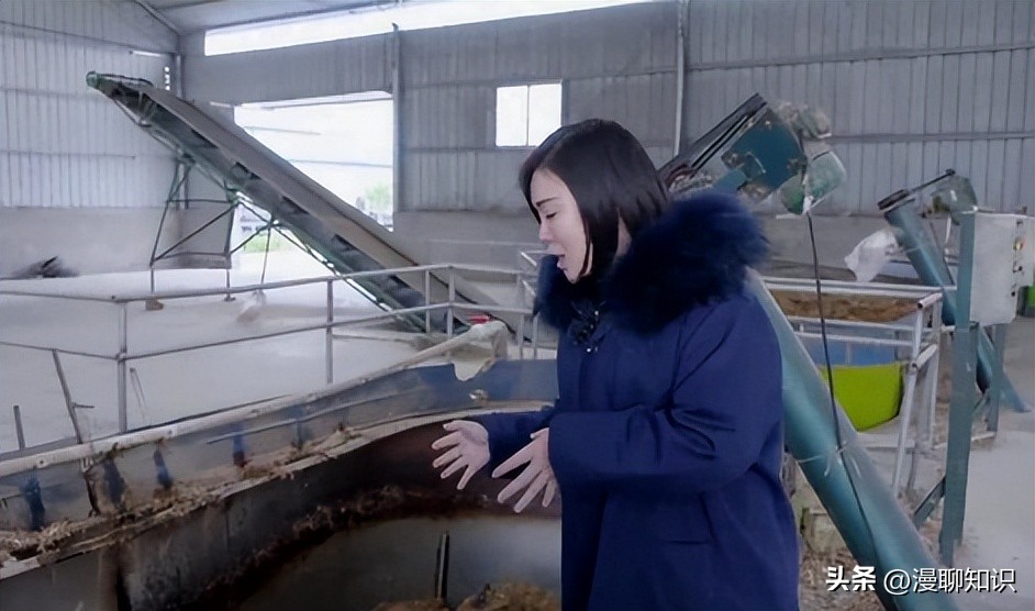 上海女白领被父亲一个电话叫回家养牛，靠没人要的牛1年狂赚1.6亿