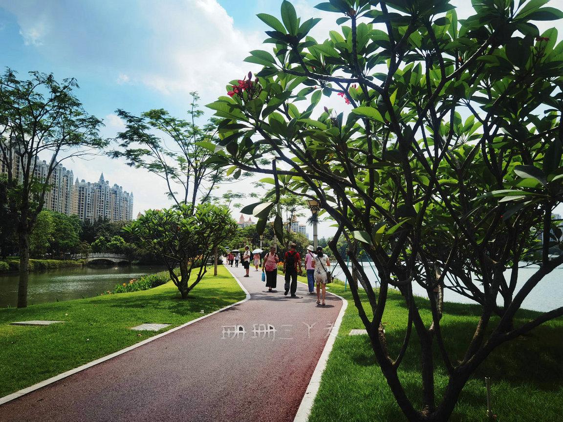 佛山最美荷花景区,佛山荷花世界游玩攻略