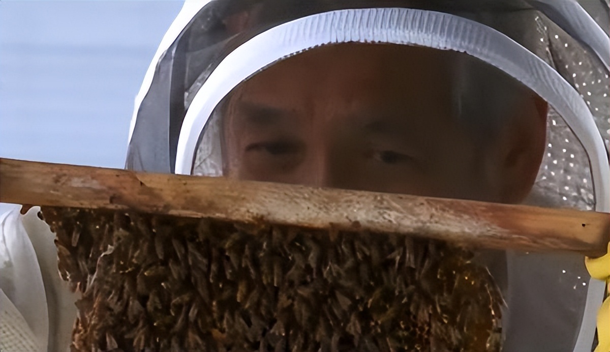 新加坡有哪些热门职业,新加坡搞什么比较赚钱