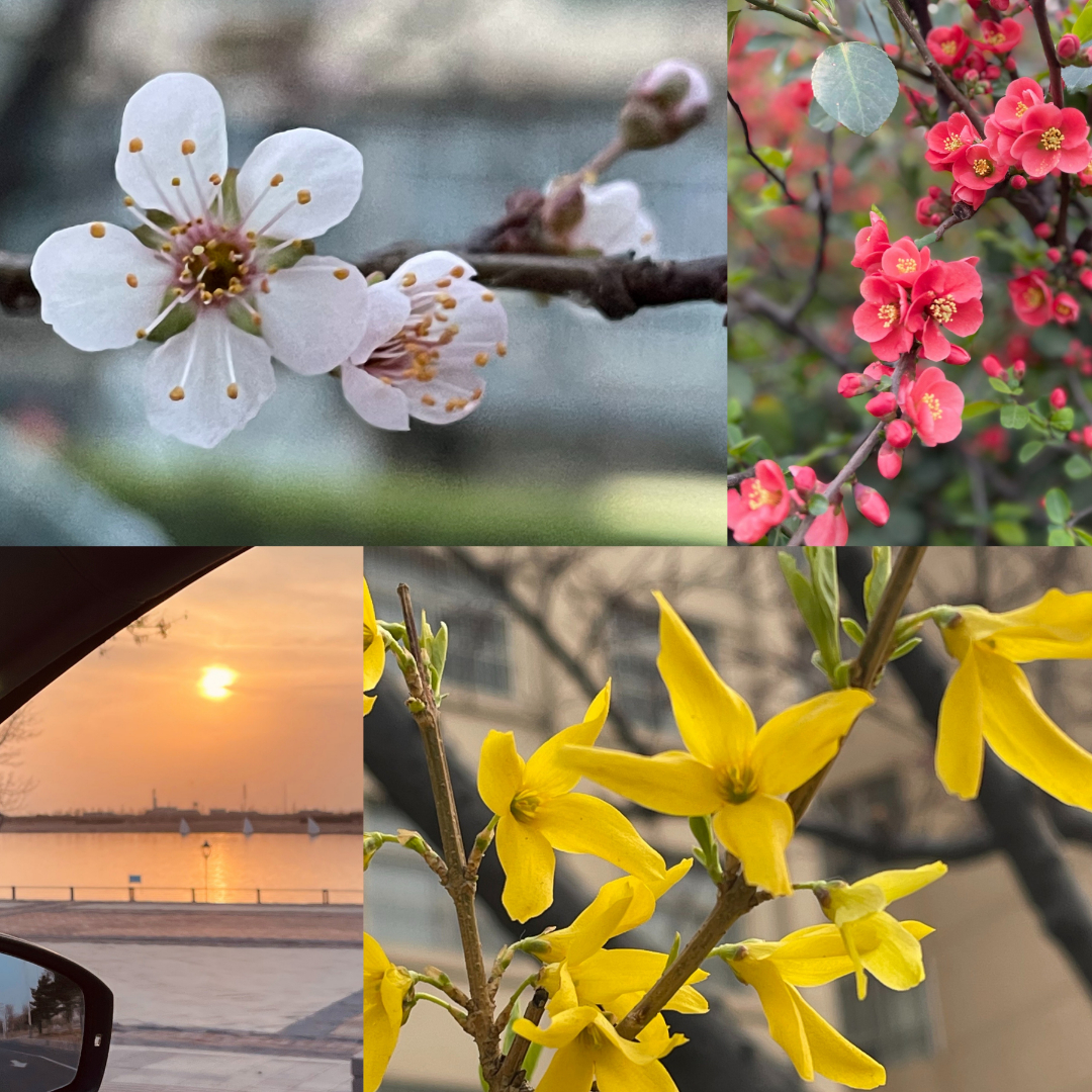 充满春天气息的穿搭,穿搭色彩的变化也在慢慢唤醒春天