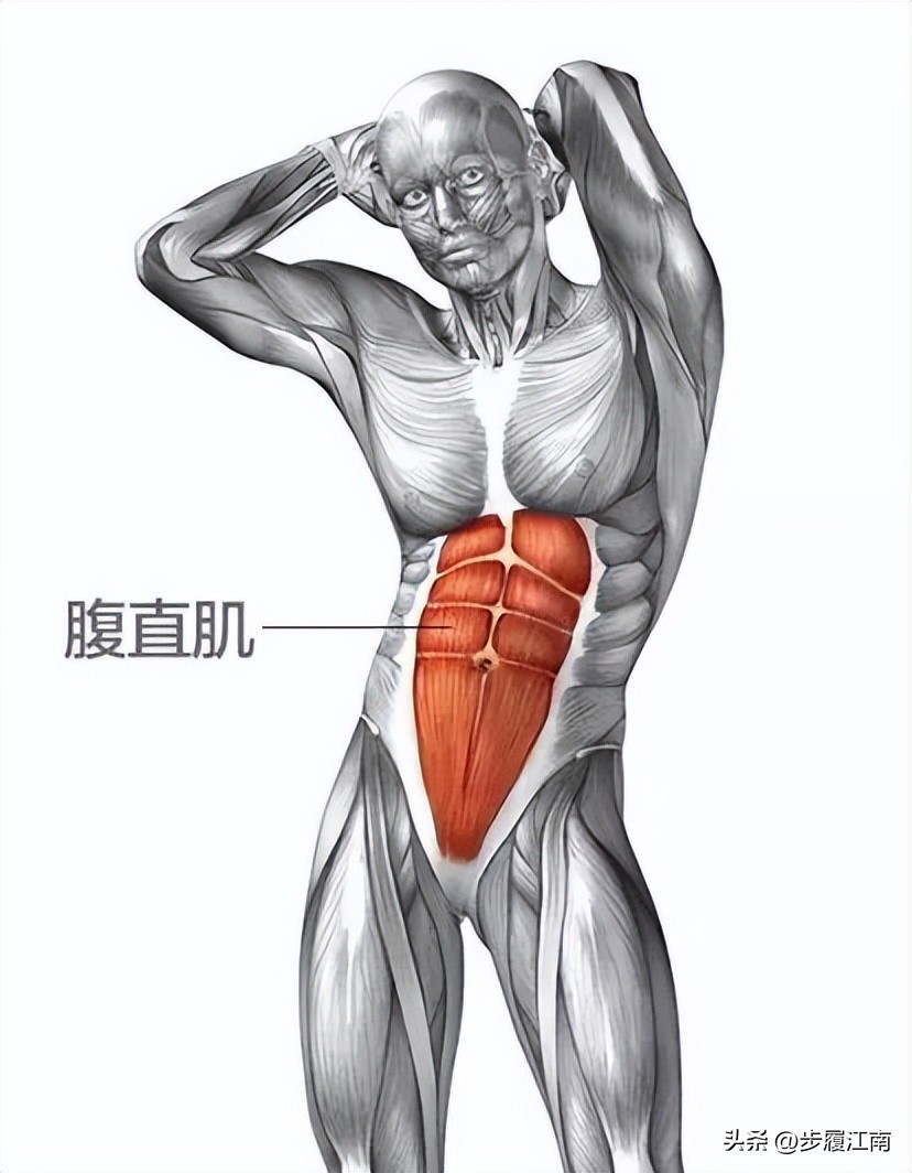 已经有了腹肌怎样练腹肌更明显,腹肌训练一个动作一分钟练出腹肌