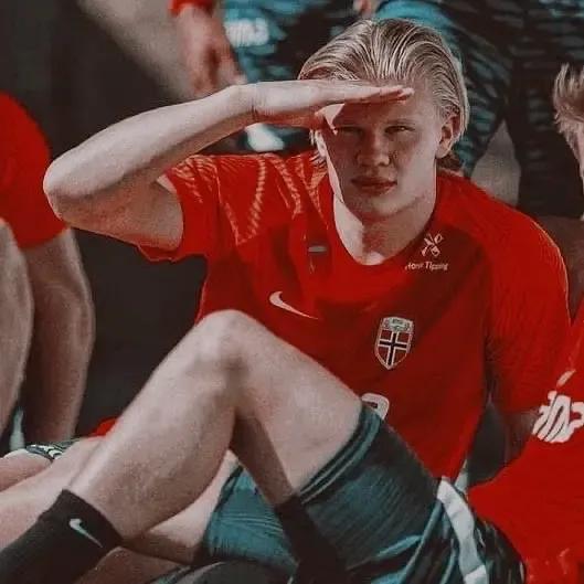 魔人布欧哈兰德荷兰,魔人布欧哈兰德视频