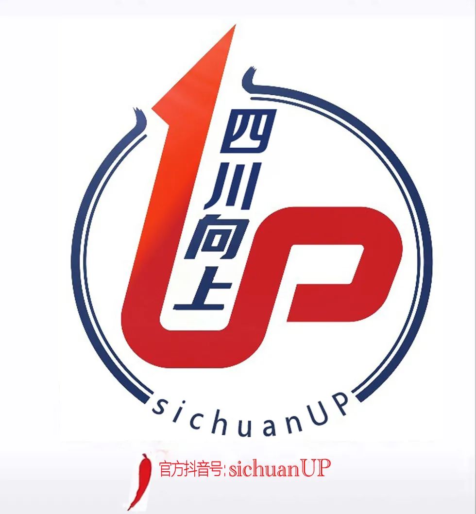 成都置信破产清算,成都置信实业破产申请