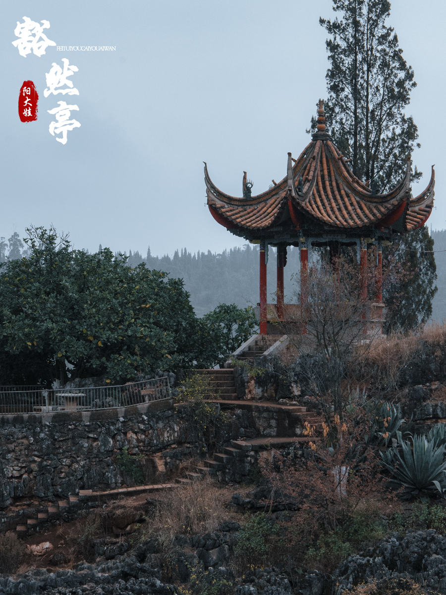 海口世纪公园游玩攻略一日游,昆明海口石城公园路线图