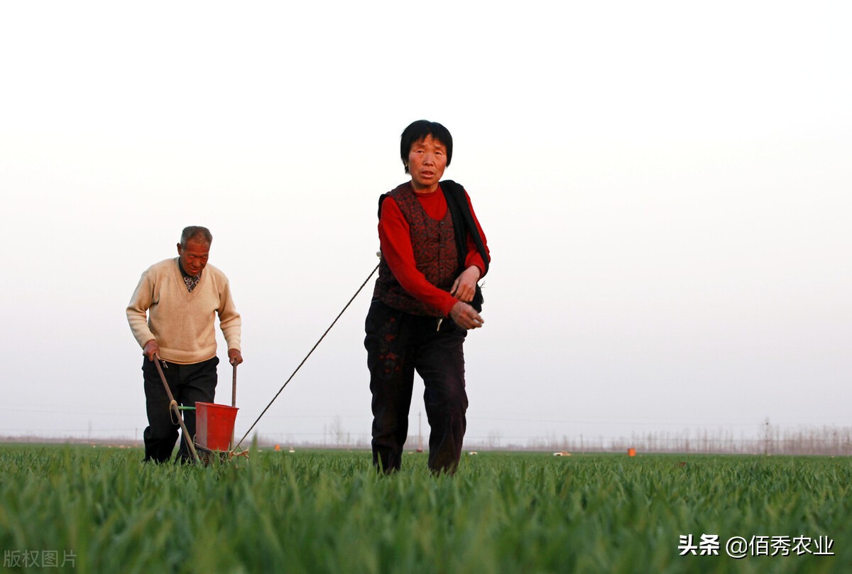 经销商如何应对肥料涨价,化肥经销商面对涨价的感言