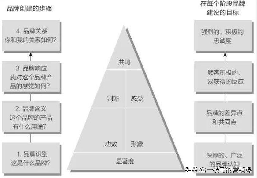 品牌管理模型,品牌管理模型案例