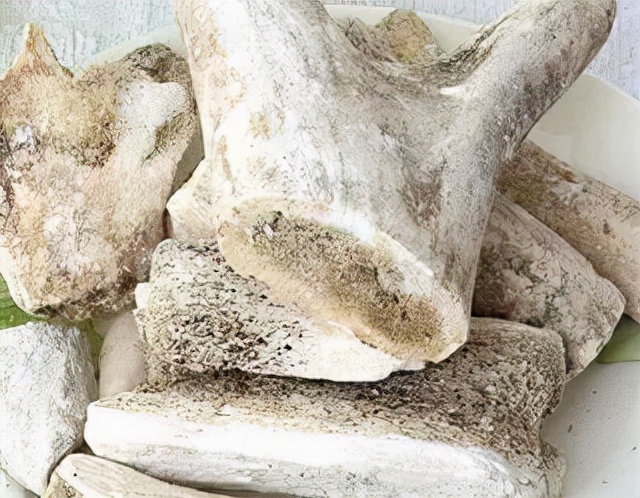 有鹿茸的中成药有哪些,有鹿茸的中成药