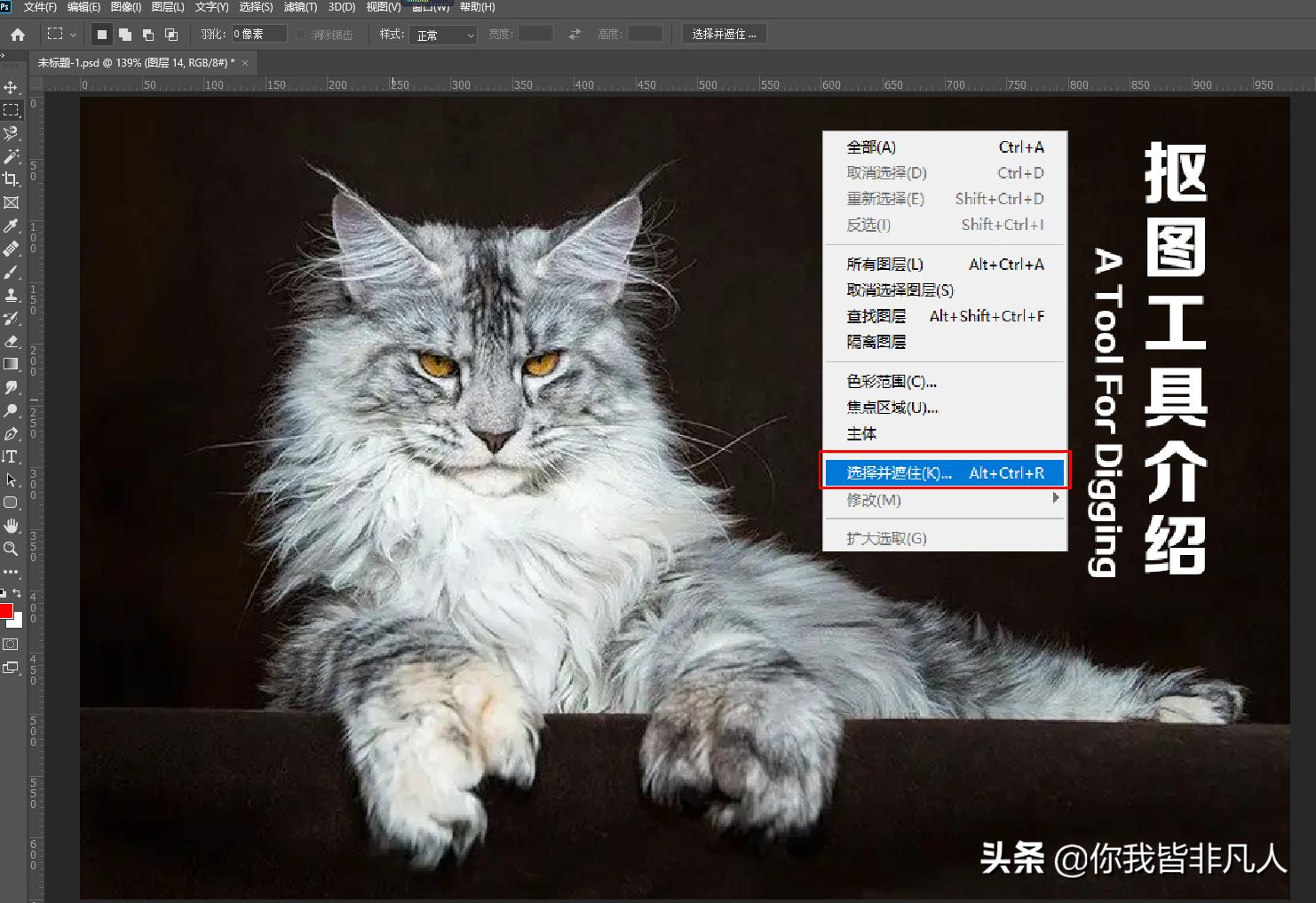 photoshop抠图步骤与方法,photoshop怎么抠图详细教程
