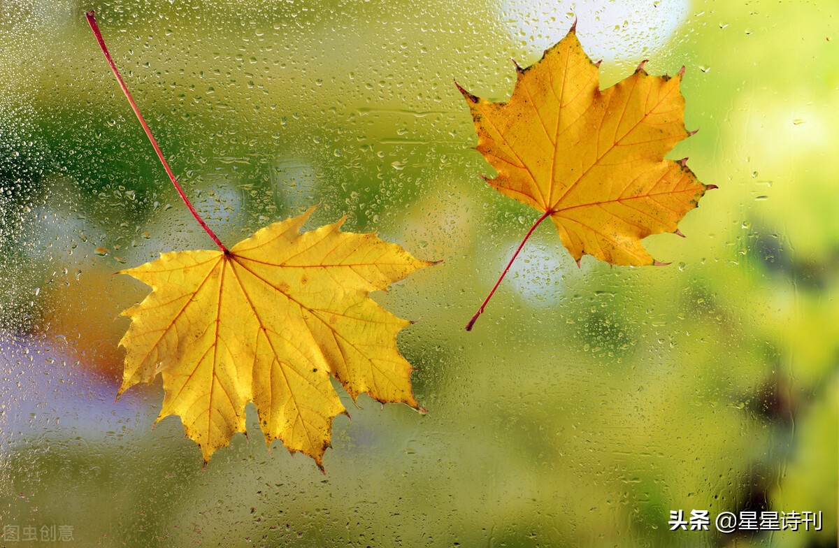 2022短诗大赛,2021年短诗大赛