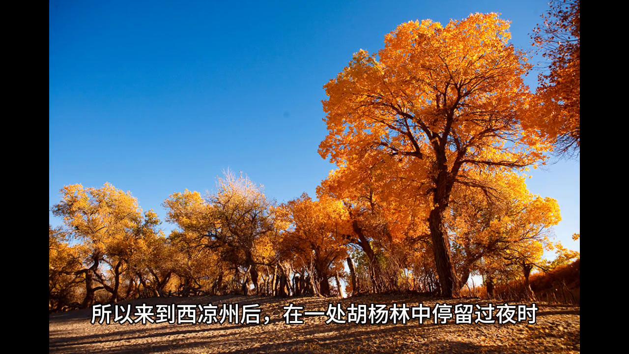 默煜还有哪些书,默煜现在写什么小说