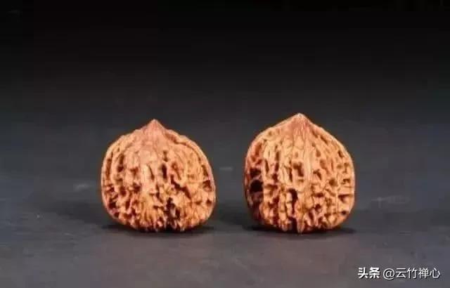 如何挑选菩提金刚,金刚菩提子的选购技巧和方法视频