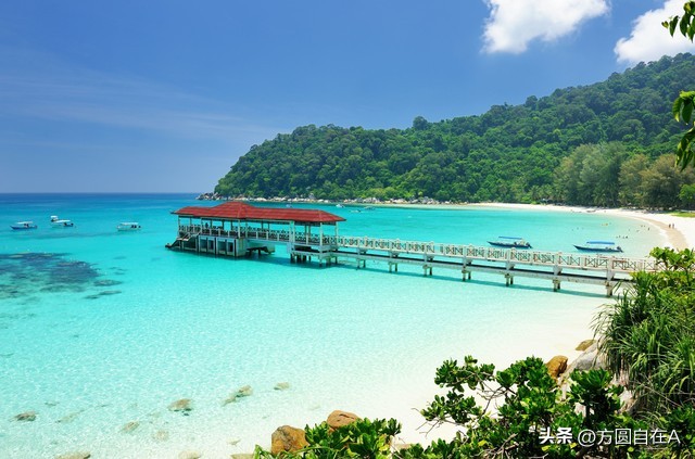 陪孩子成长的每个瞬间都值得记忆,珍惜陪孩子一同长大的日子