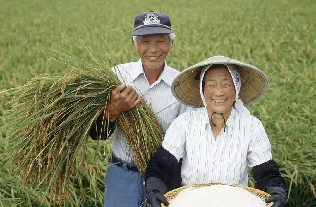 乡村改造创意工坊设计概念,极简乡村改造设计