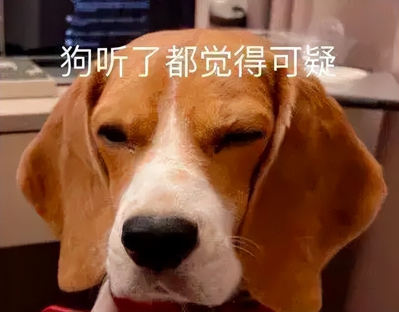 老妈给狗申请微信号,拉进家族群,每天更新朋友圈…可看完我却哭了