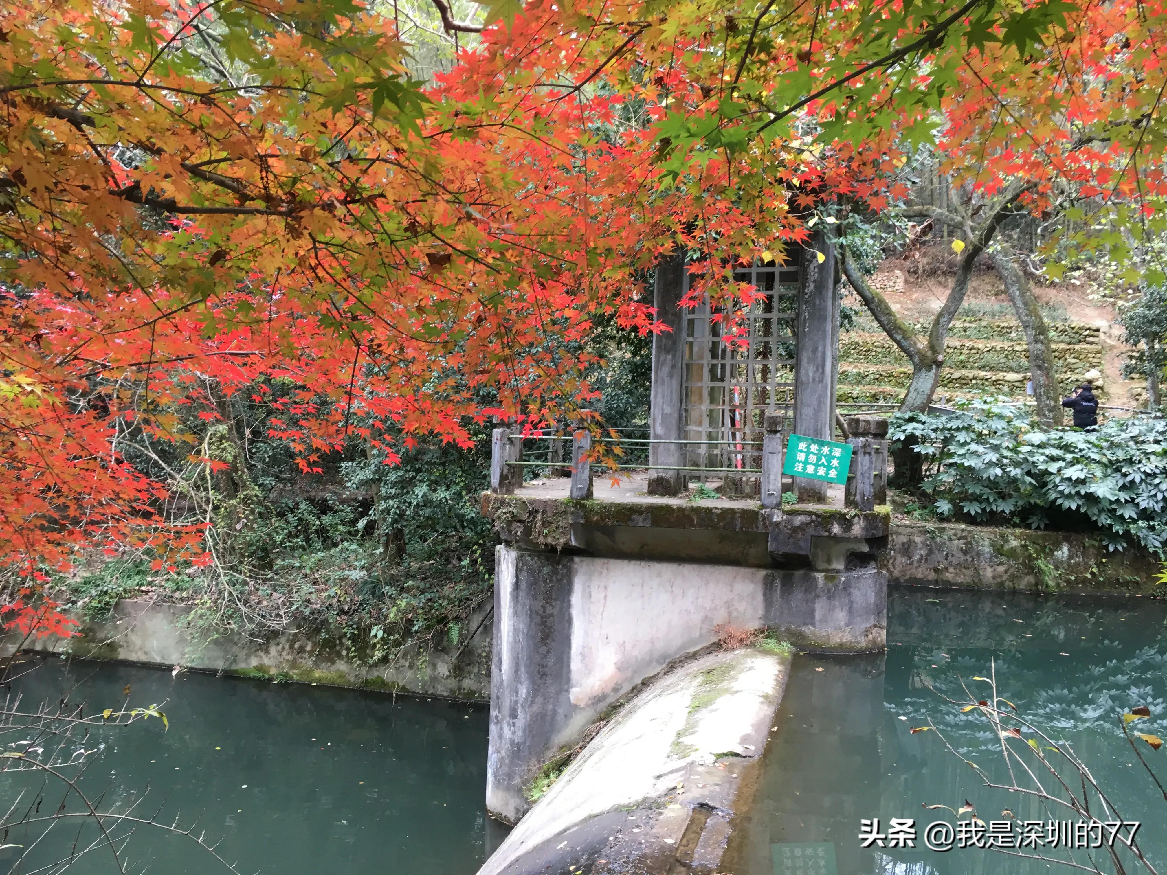 十一月，我在寻找杭州的秋天