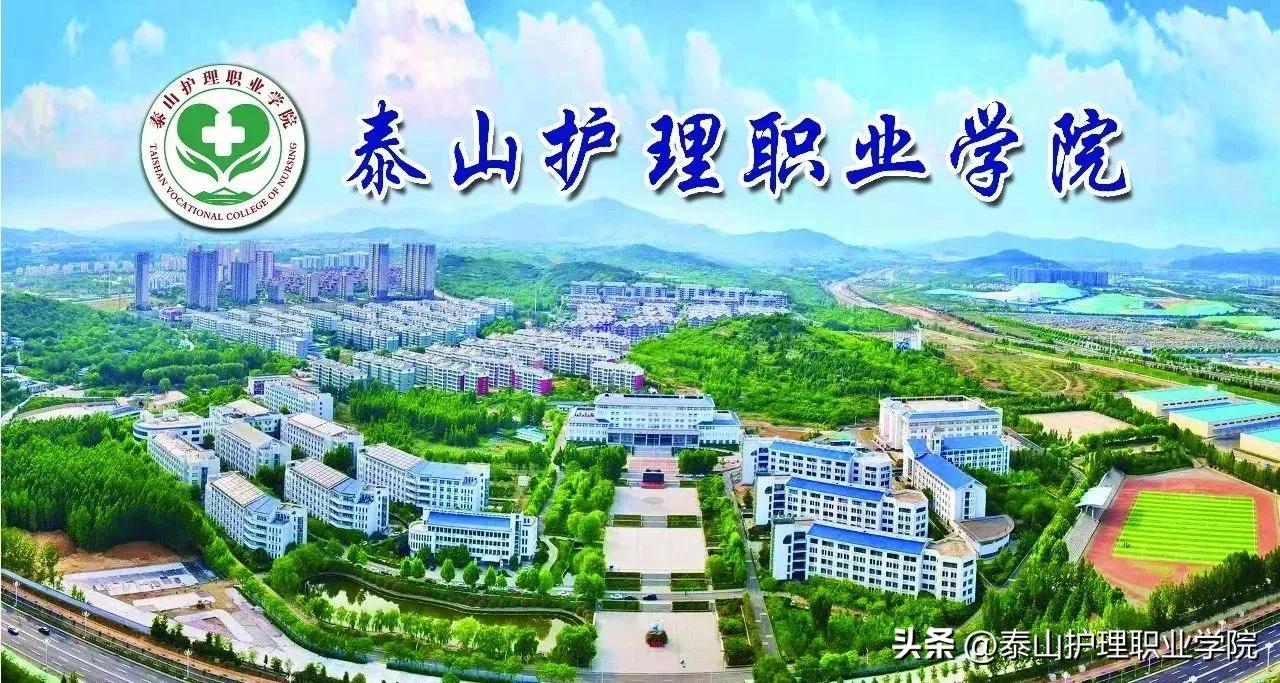 就业指导工作都有哪些,就业指导中好工作有哪些标准