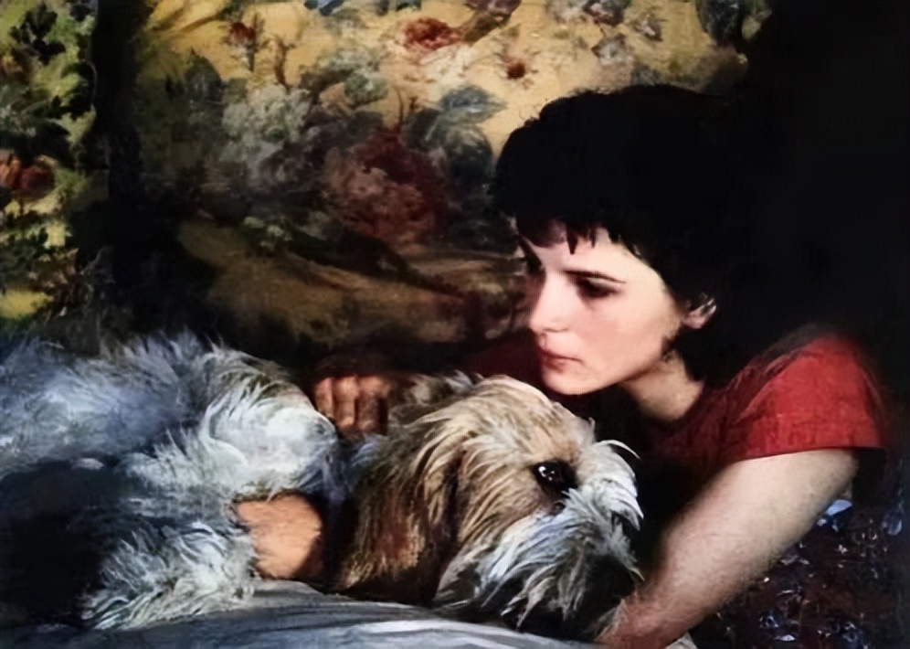 经历三年疫情负重前行,经历了三年的疫情