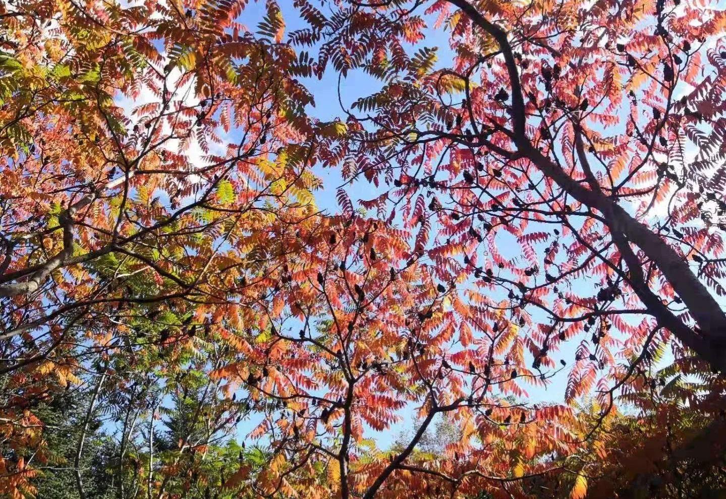 人要懂得知足不能眼高手低,人一定要脚踏实地切忌好高骛远