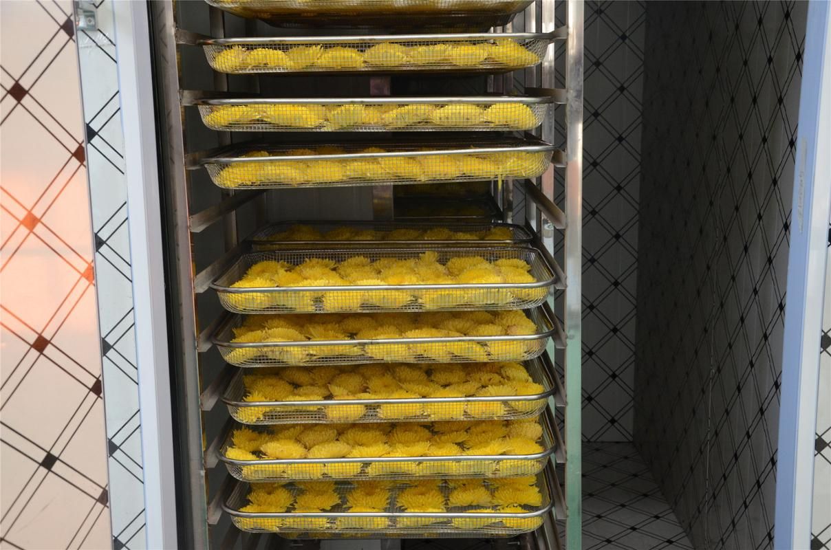 大型节能菊花专用烘干设备,开封金银花空气能烘干机设备