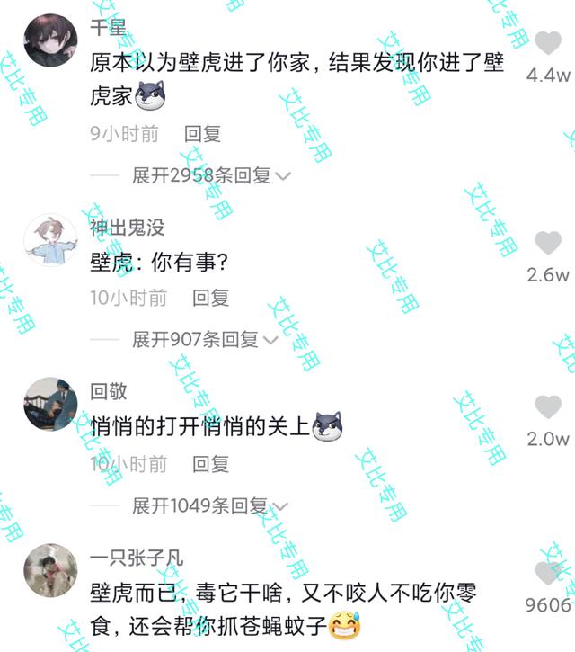 江苏一女子开门门后全是壁虎,一女子打开门发现一窝壁虎