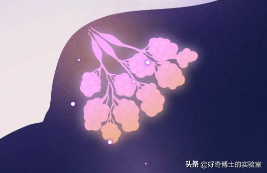 男人身体出现问题会有什么表现,男人生理不正常是怎么回事