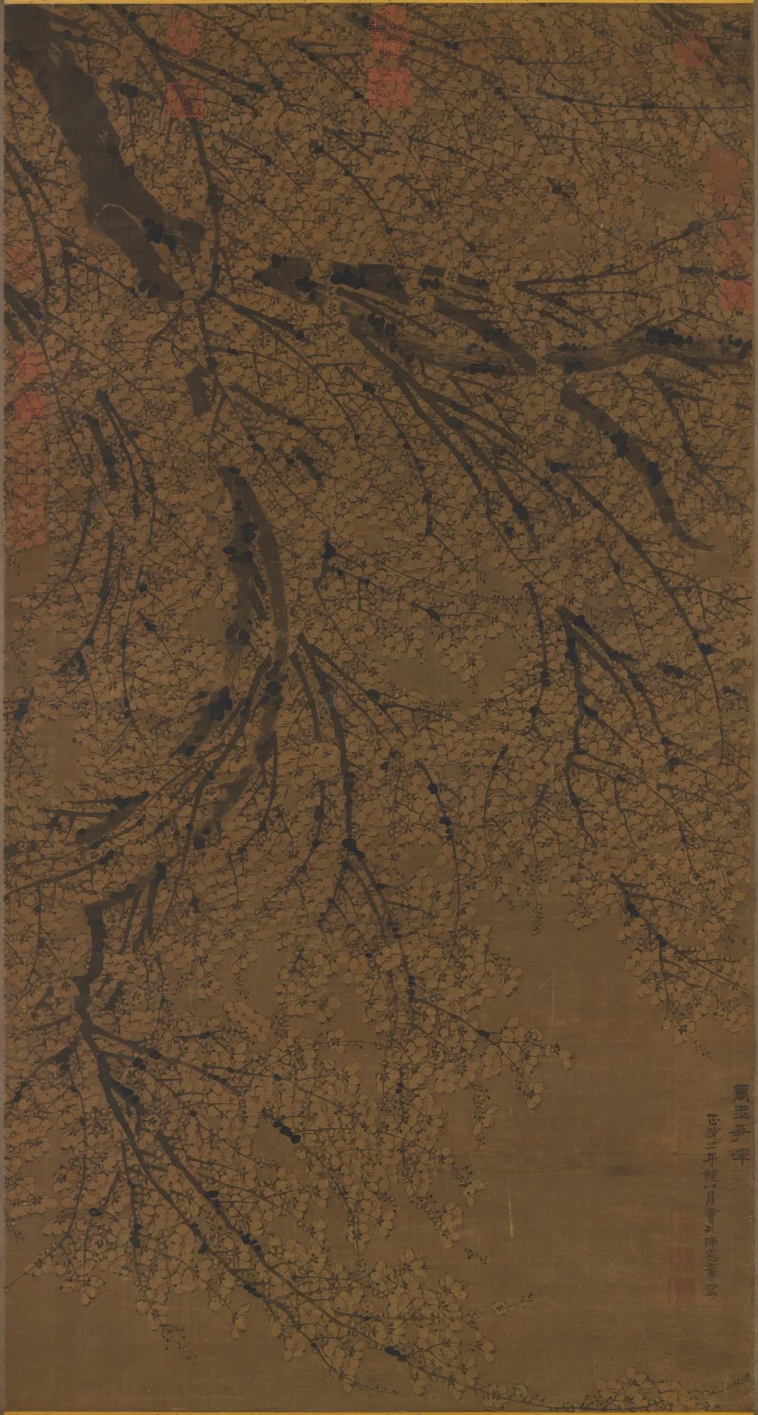 慕容看世界的视频,慕容看世界所有视频