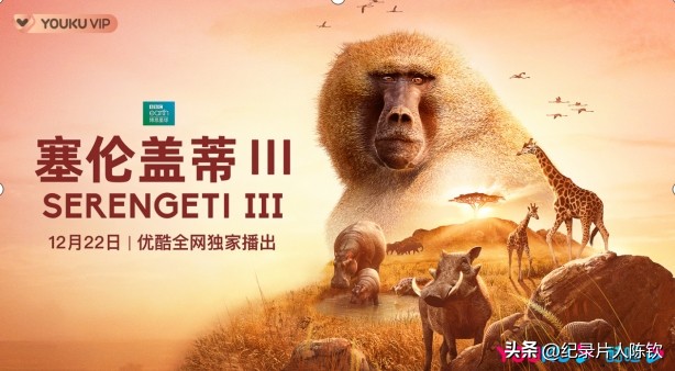 【新年收藏】2022年度受市场欢迎十*纪大**录片榜单揭晓！