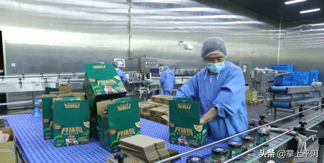 民营经济服务年丨东阿镇：有温度有力度！全力以赴打造亲商、优商、重商“福地”