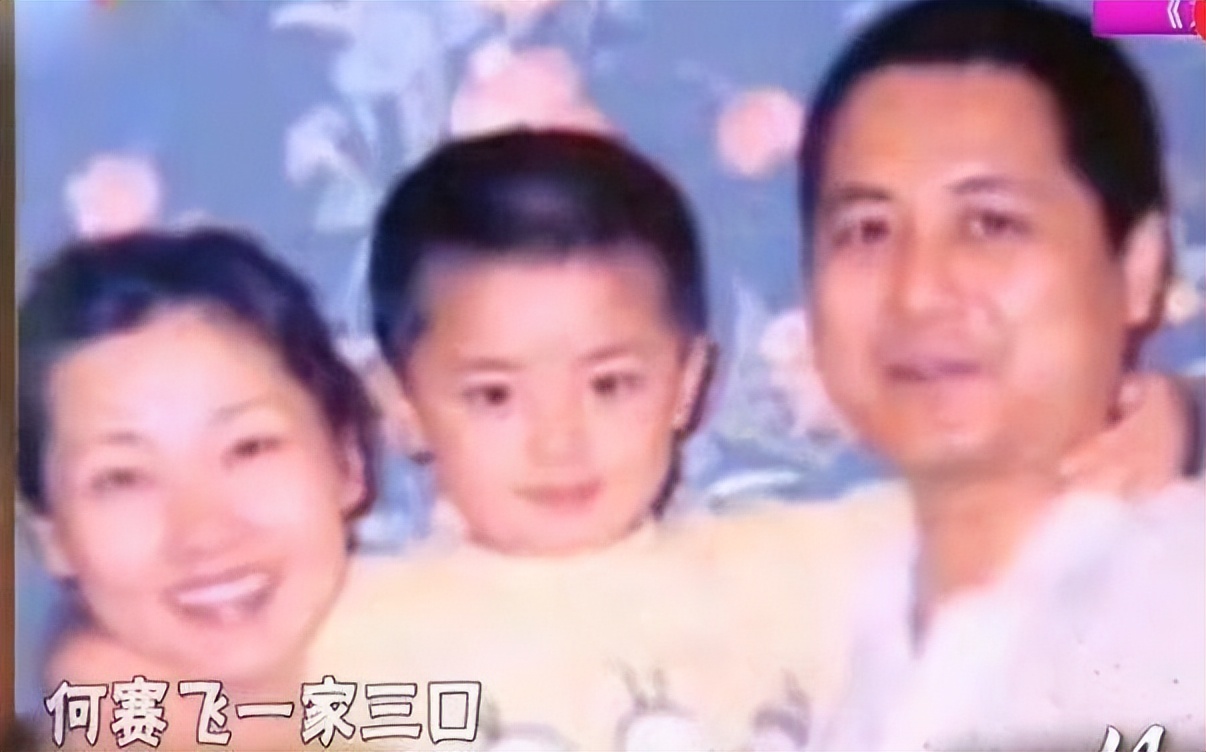 何赛飞高龄产子,丁克何赛飞