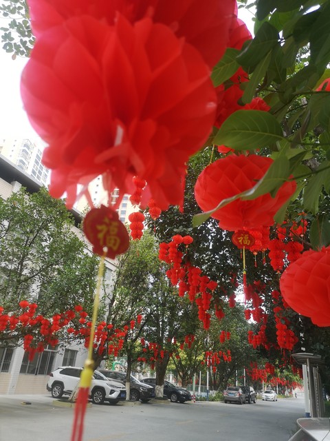 南宁的新南北方饮食差异,一个北方人的印象