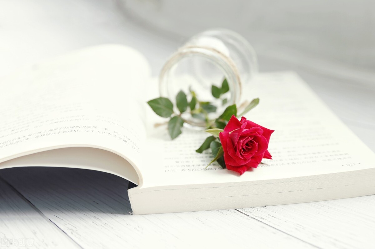 看书小窍门100个,看书小技巧