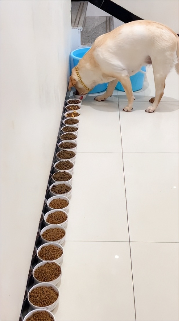 53岁的奶奶给三岁的孙子烫发,58岁奶奶花6块钱为孙子烫发