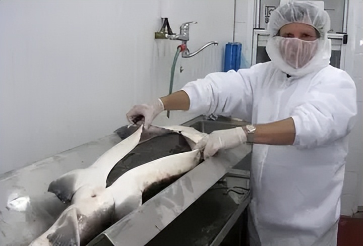 顶级鱼子酱为什么这么贵,中国是怎么把鱼子酱变成白菜价