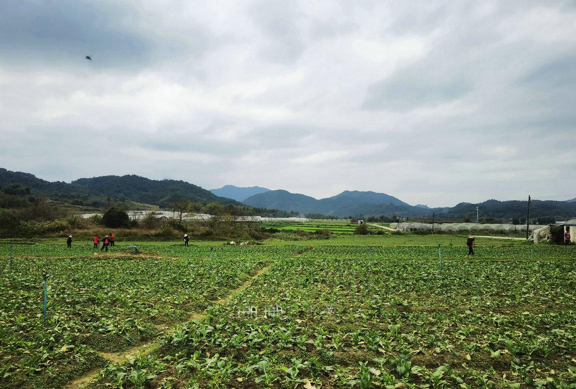 广东必去十大景点排名广州从化,从化什么地方山清水秀