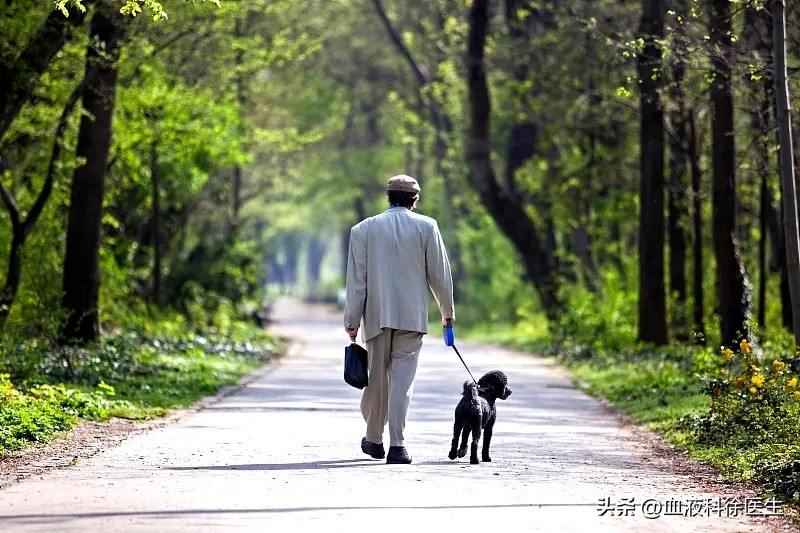 进口他汀太贵能换成便宜的吗,进口的他汀有哪几种