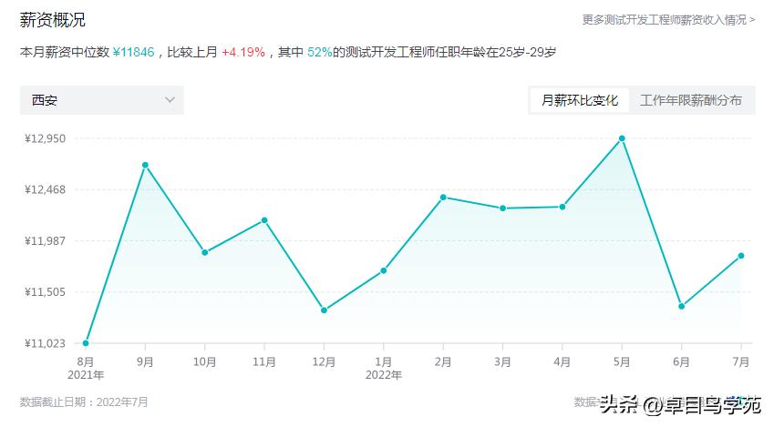 it软件技术就业前景,西安it前景怎么样
