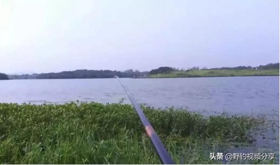 夏季野钓，雨天就是“爆护天”！但有“3不钓”，否则空军已注定