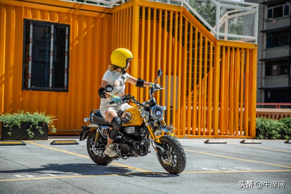 银钢150和蜜獾怎么选,平头哥蜜獾的战斗力有多强