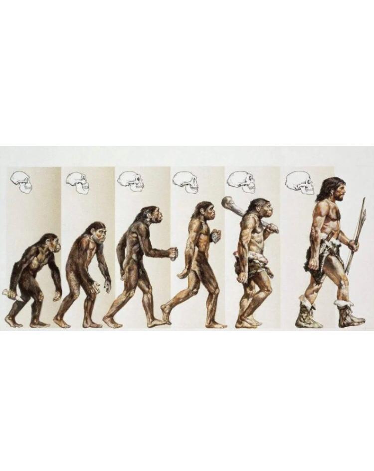 古代埃及女人剃光头,历史上的埃及艳后