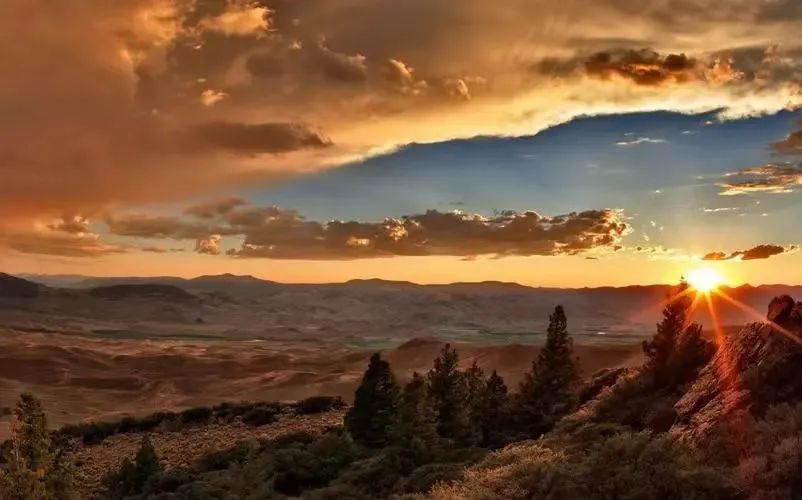 如何对待内卷过度社会化现象,公司怎么解决内卷现象问题