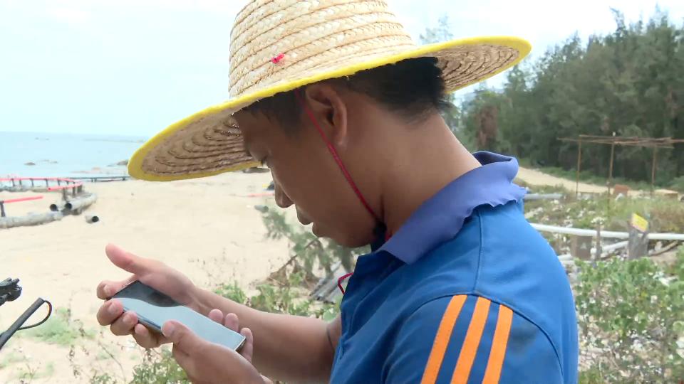 香港海域突现百万鲳鱼，背后原因令人唏嘘