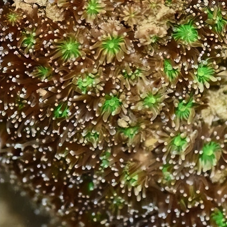 你变白后成什么样子,你变白以后有多好看