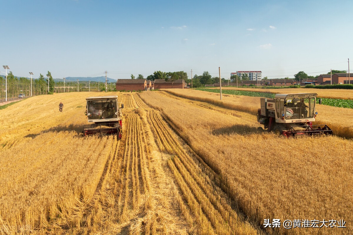 现在小麦期货行情,国际小麦期货实时行情走势