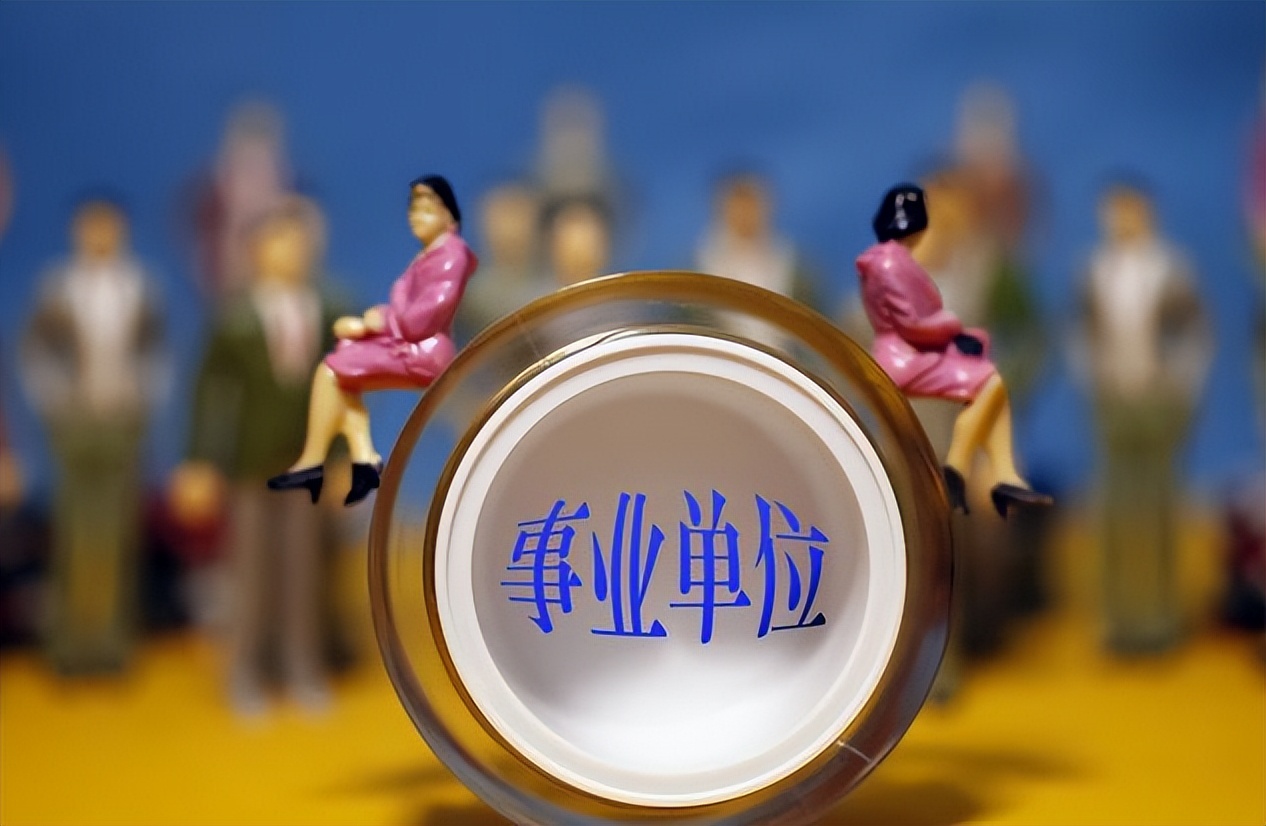 浙大金融本科应聘司机,浙大金融毕业当司机