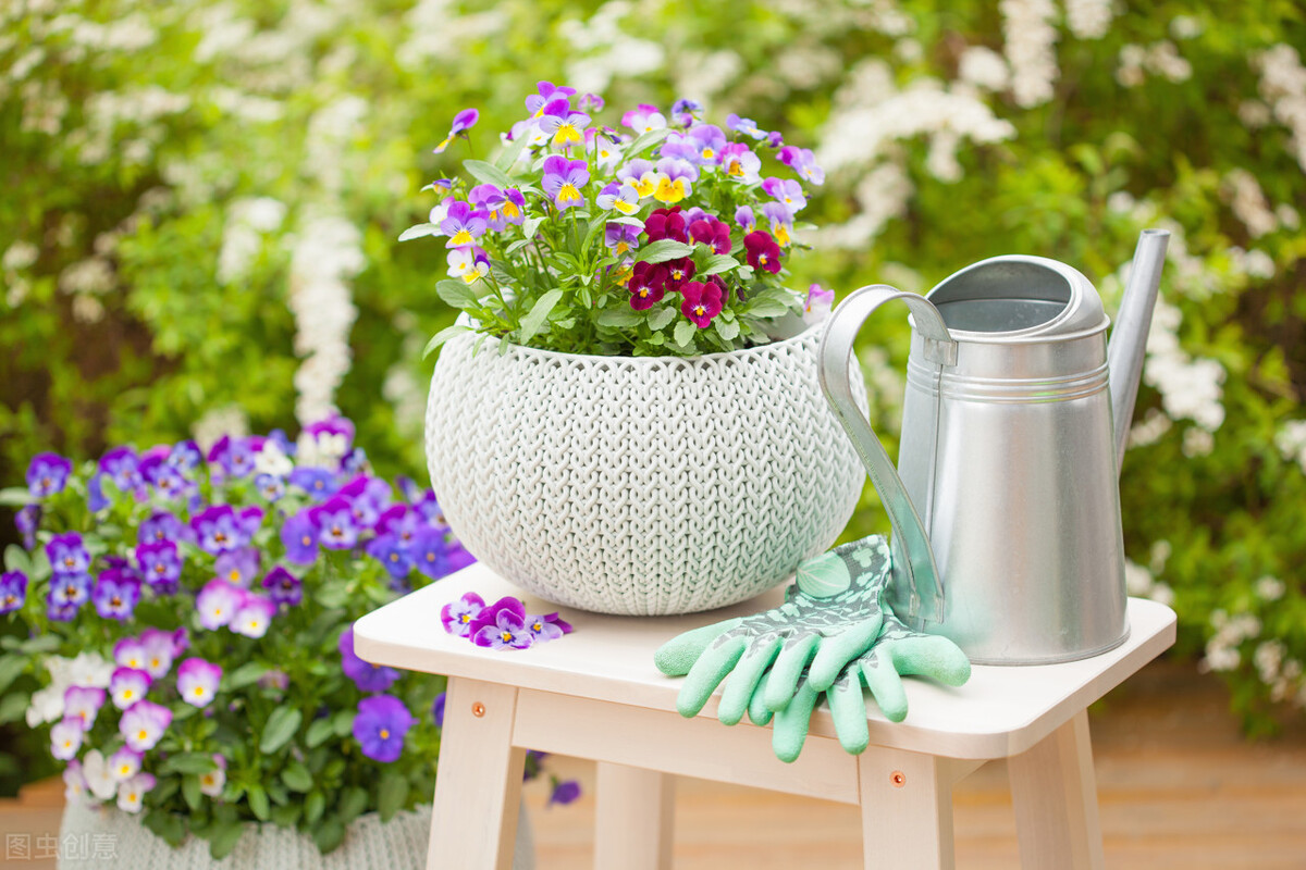 带娃去泰国上国际学校,带孩子在泰国上国际学校