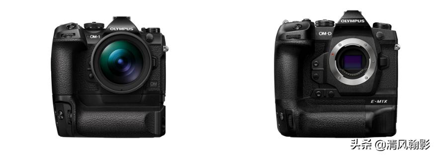 拍鸟买r5还是r6好,拍鸟买尼康