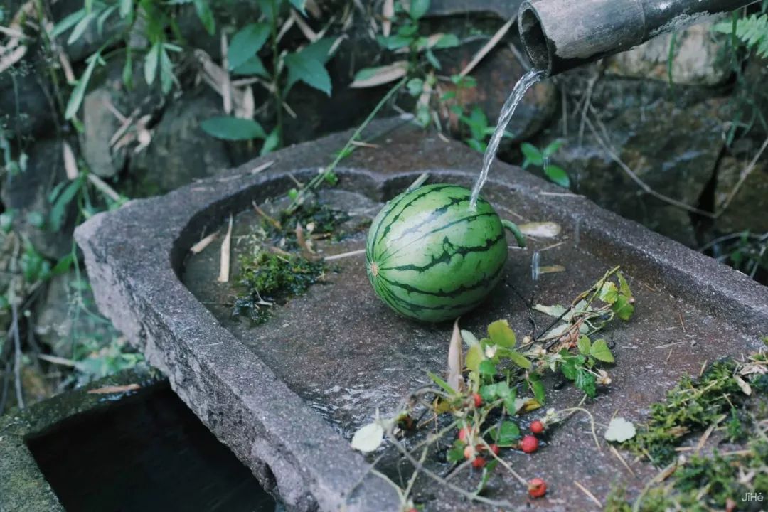 莫干山竹林深处的最美民宿,莫干山森林小屋民宿
