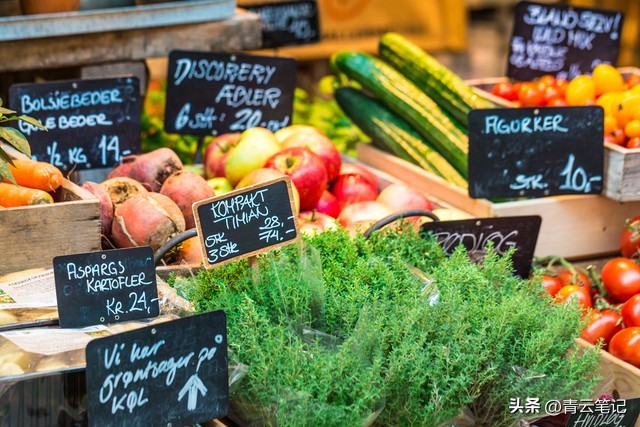 普通人去丹麦做什么工作,去丹麦工作应该了解什么