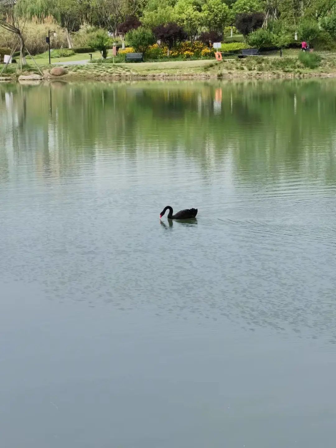 洞子口往事 (陈氏凉粉洞子口)